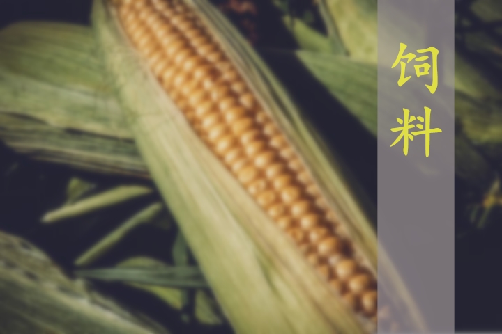 2024-2025年度中国饲料行业分析及预测